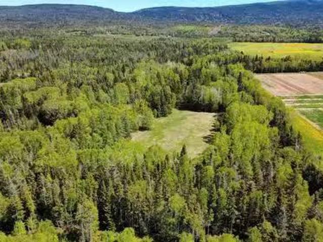 97 C Main Street, Pasadena, NL, A0L 1K0 vacant land for sale.