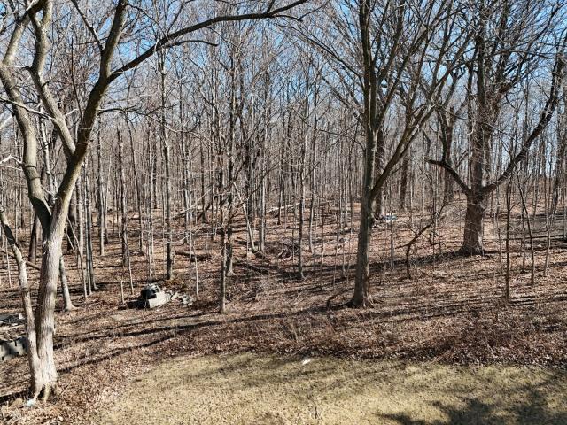 97 Crooked Creek Drive
