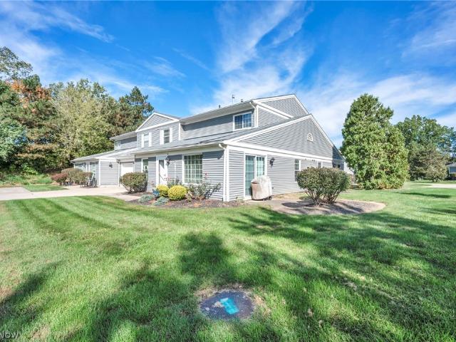 97 Firebush Lane