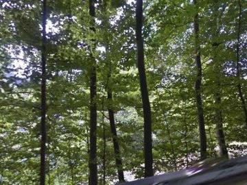 Gyrischachenstrasse, Burgdorf, Verwaltungskreis Emmental, Verwaltungsregion Emmental-Oberaargau, Kanton Bern