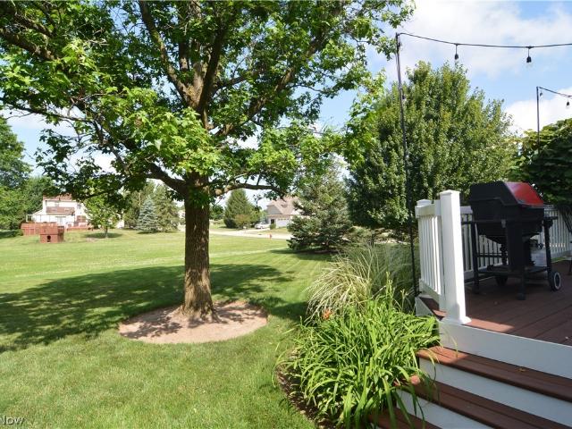 946 Ptarmigan Trail