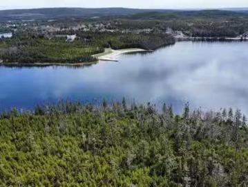 94 98 Kings Hill Road, Portugal Cove St. Philips, NL, A1M 1W3.