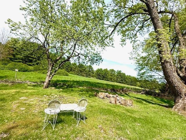 94 Airport Rd, Eldred, NY 12732 | MLS #967910