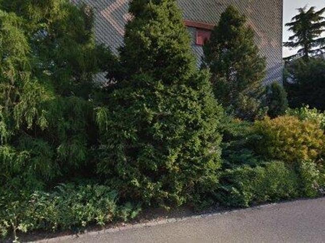 94 m2 apartment for rent in Meilen