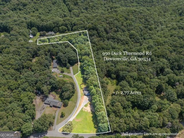 950 Duck Thurmond Road