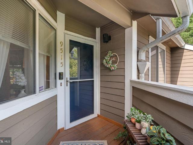 9515 Hickory Limb # 304