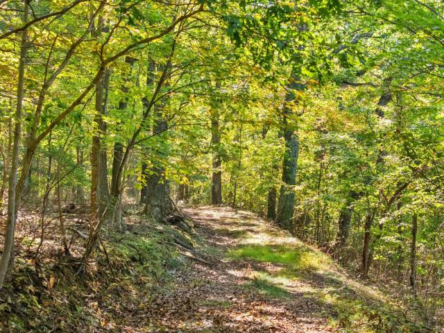 9533 Howellsville Road, Boyce, US, VA