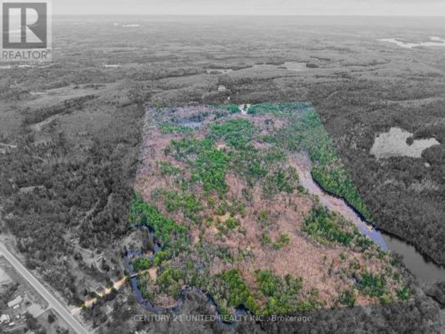 9559 Hwy 28, North Kawartha, ON, K0L 1A0 house for sale | Listing ID X13054 | Royal LePage