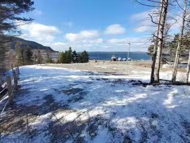 955 Main Street, Frenchmans Cove, NL, A0L 1A0 vacant land fo.