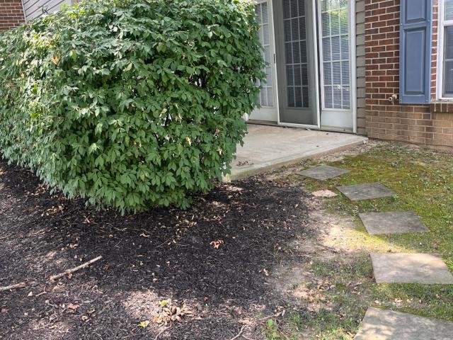 955 Mistflower Lane