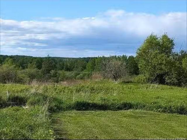 95.4 Acres Route 340, Canobie, NB, E2A 5G7 vacant land for s.