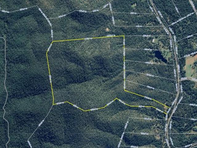 95.18ha 235 Acres of Rural Opportunity Gaeta