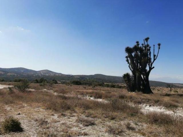 Venta 95 HECTÁREAS, $104/ M2, zona TECALI, VALSEQUILLO, PUEBLA para INVERSIONISTAS