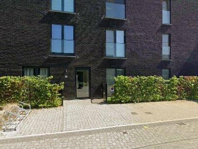 95 m2 apartment for rent in Aalst