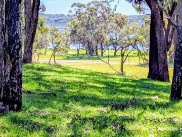 961 acres 2 titles BEST BUY