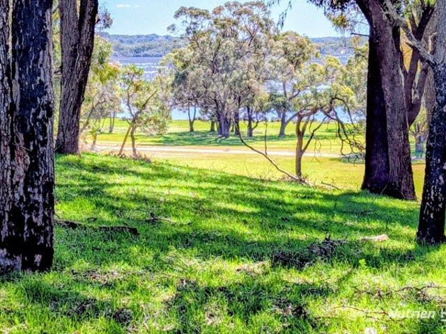 961 acres 2 titles BEST BUY