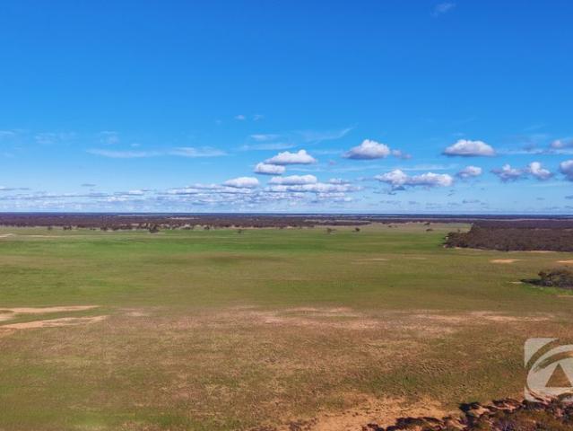 965.5 ha 2,386 acres Boolgun Road, Riverland, South Australia