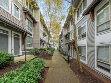 Greater Vancouver - Sauna, Swimming pool