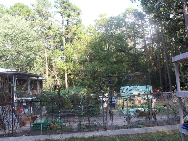 96 Brushwood Lane