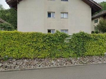 Gebenstorf, Bezirk Baden, Aargau