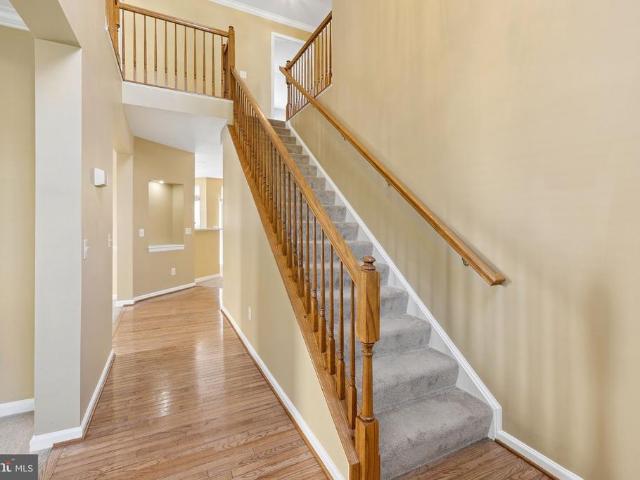 9741 Plaskett Forest Lane