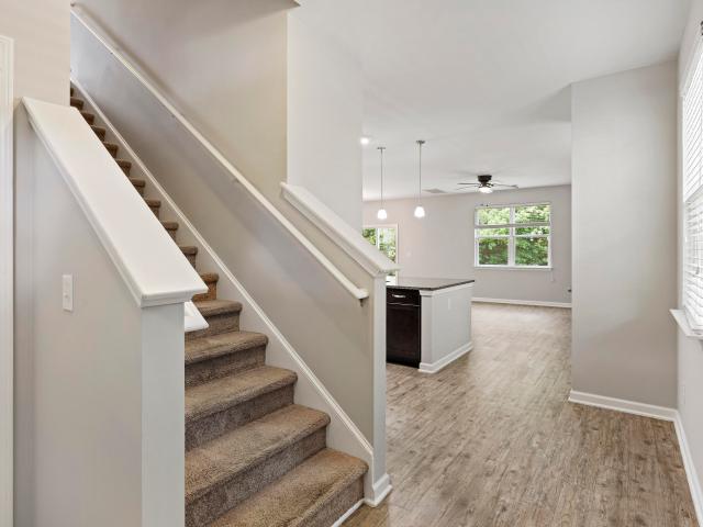 9798 Seed Street