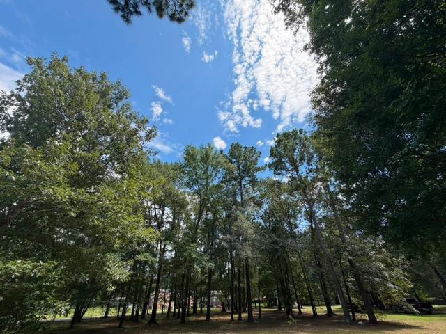 9806 State Highway 156