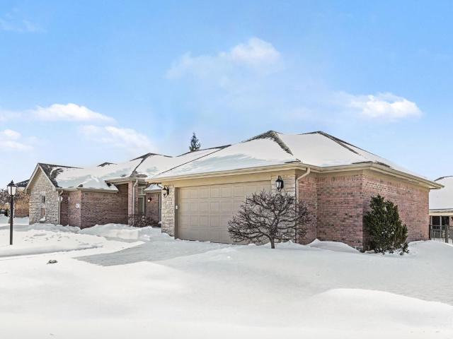 9823 Scotch Pine