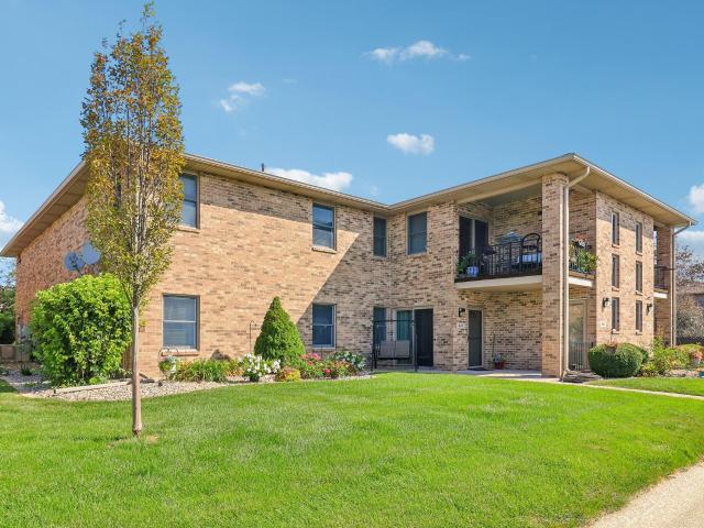 982 Elm Drive