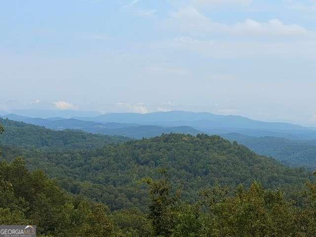 982 Raccoon Ridge
