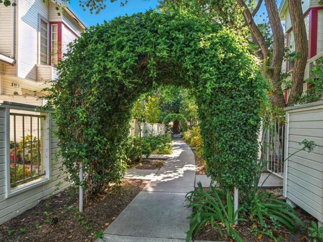 984 Belmont Terrace 10
