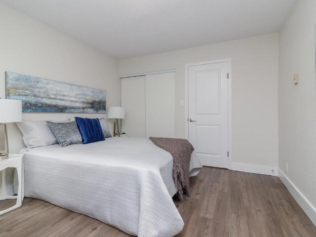 984 McKenzie Apartments Studio Apartment for Rent