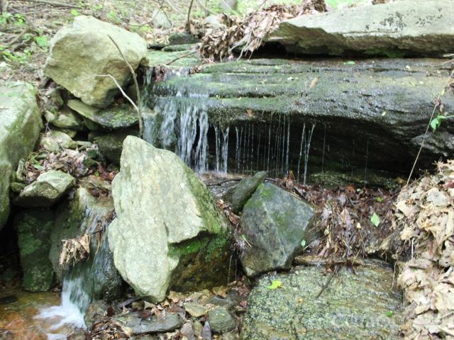 985 Roberson School Rd, Moravian Falls, NC 28654 | MLS #4241