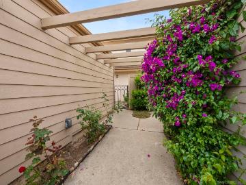 9891 Aviary Drive