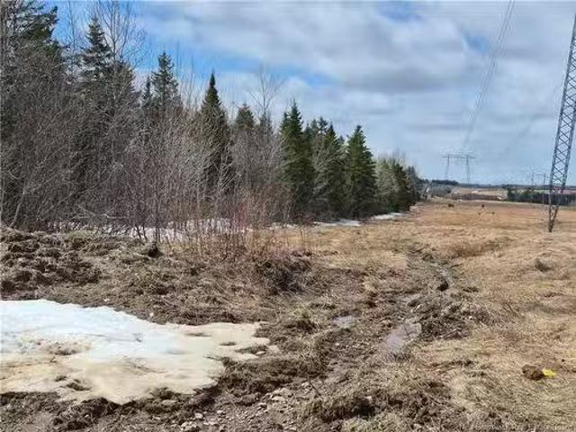 98.8 Acres Mutton Rd, Belledune, NB, E8G 2E9 vacant land for.