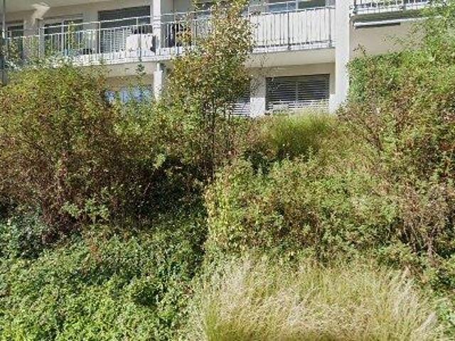 98 m2 apartment for rent in Zürich Distrikt 10