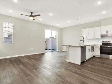 9905 harbor haven road, wesley chapel, us, fl