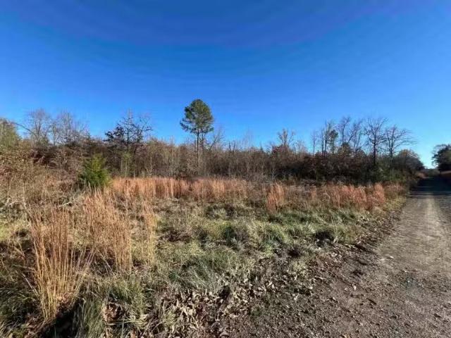 990 MAHAN DR, CENTER RIDGE, AR 72027
