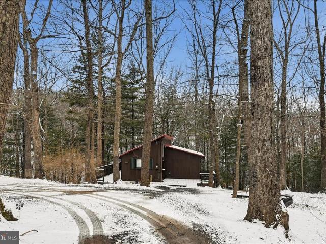 99 Whistler Lane