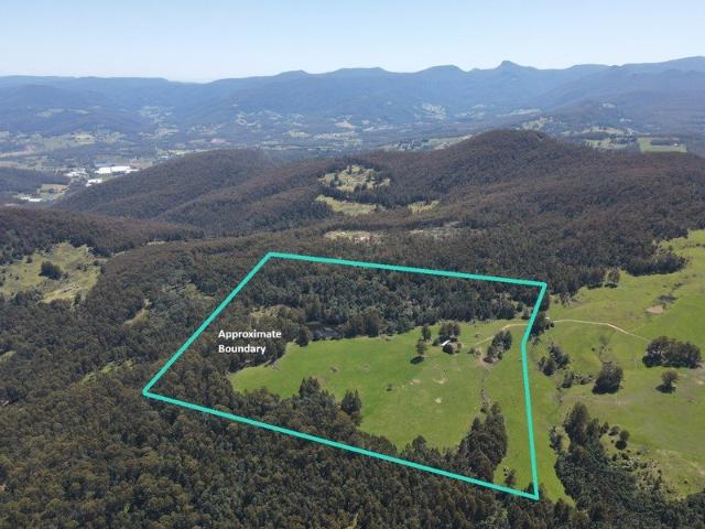 99 Acres with Farming Pasture & Native Bush