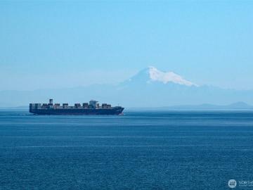 99 S Point Rd, Port Angeles, WA 98363 | MLS #2420