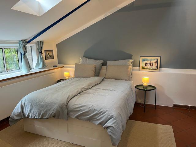 9 min to city center: Bright 2 Room flat in Neuenheim w/ huge terrace, Heidelberg Amsterdam Apartments for Rent