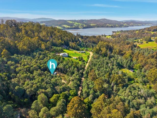 9 Acres of Peace, Views, and Potential