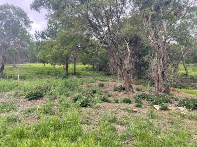 9 ACRES OF PRIVACY & SECLUSION