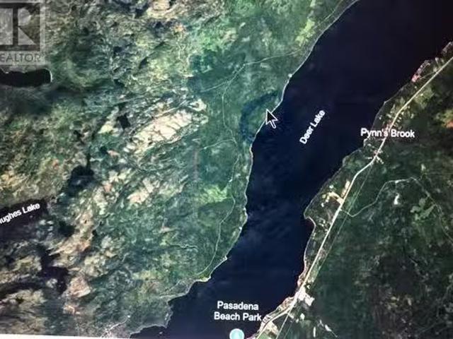 9 Camp Brook, Deer Lake, NL, A8A 0A1 vacant land for sale L.