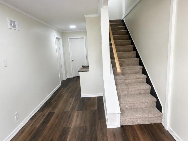 9 Carmichael Road