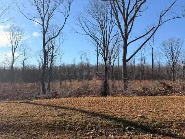 9 COUNTY ROAD 641, MENTONE, AL 35984