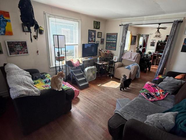 9 Feeder Street