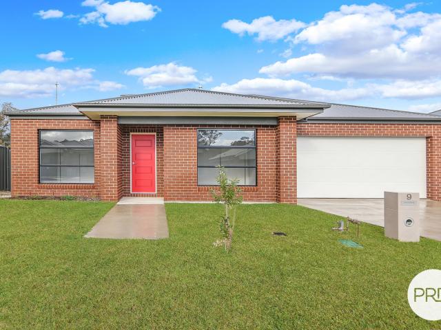 9 Grammar Drive, LAVINGTON NSW 2641
