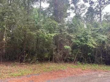 9 PINE COURT, SARALAND, AL 36571